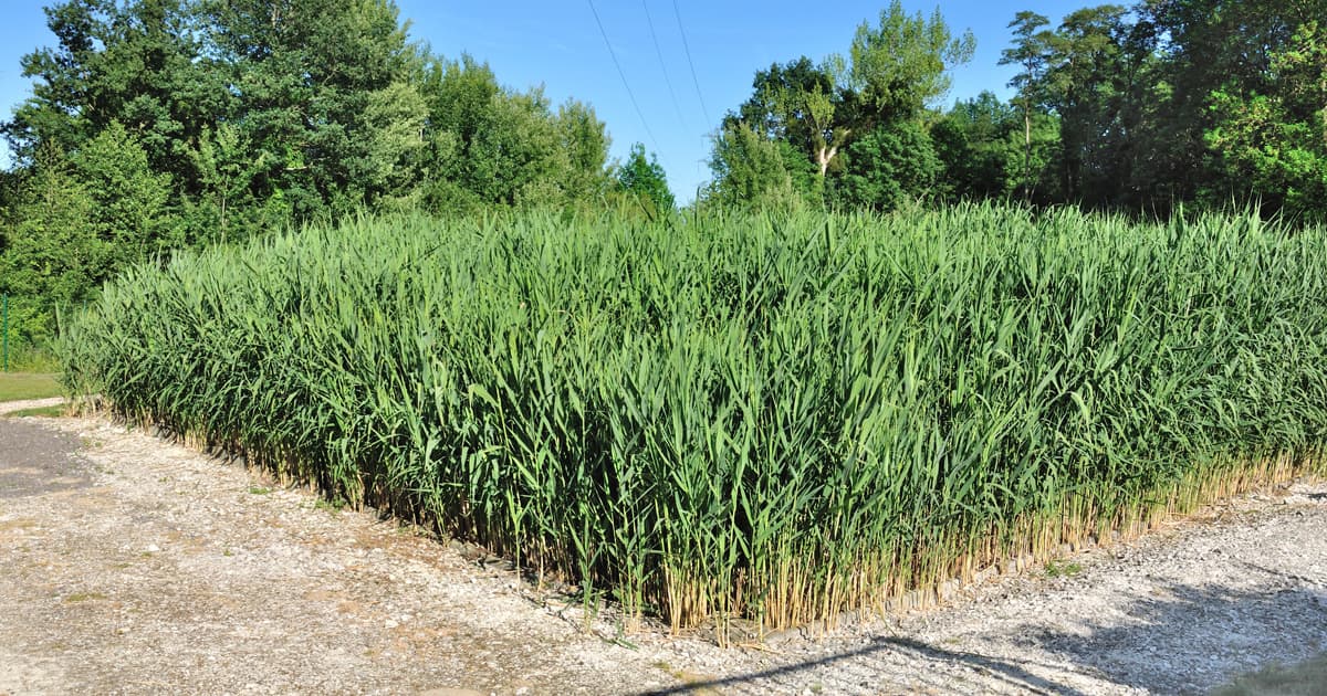 Installation industrielle traitement eaux