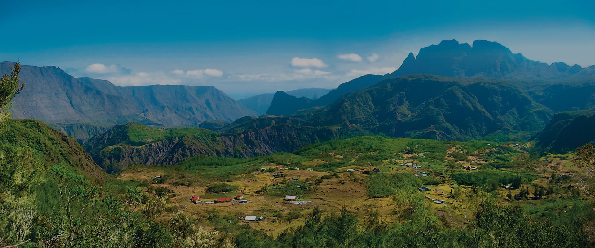 Terrain amenage pour filtre plante